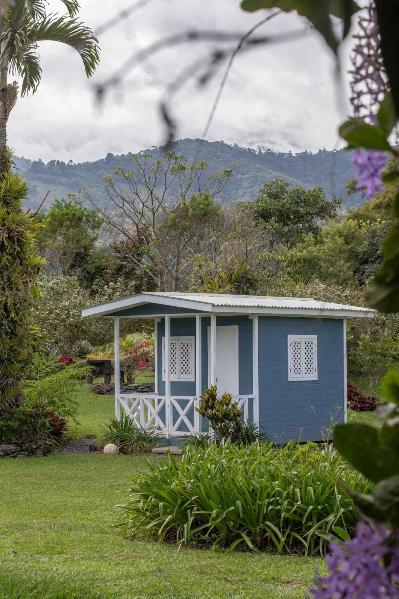 Aquiares Coffee Farm Casa Hacienda La Esperanza Bed & Breakfast Turrialba Luaran gambar