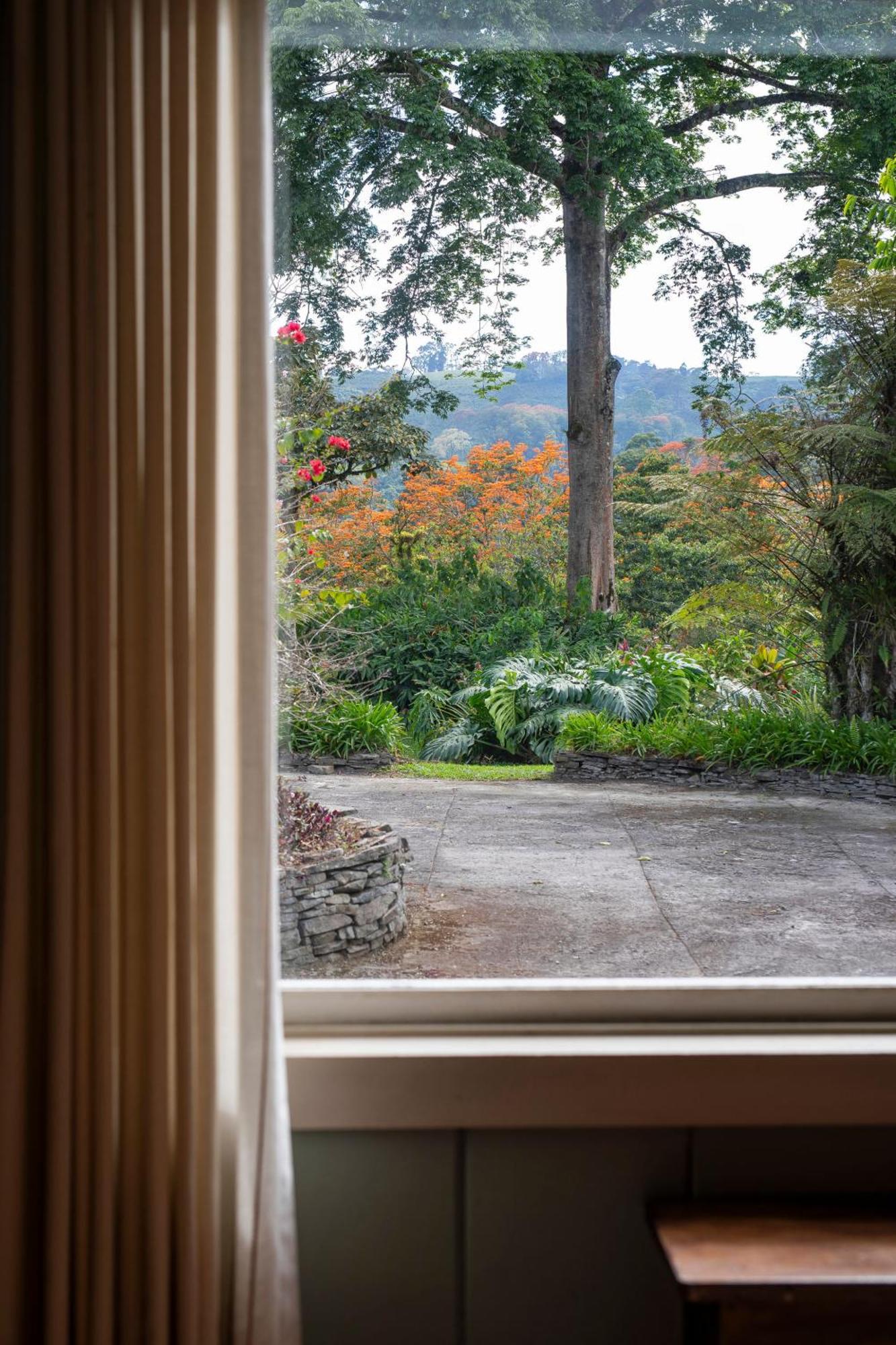 Aquiares Coffee Farm Casa Hacienda La Esperanza Bed & Breakfast Turrialba Luaran gambar