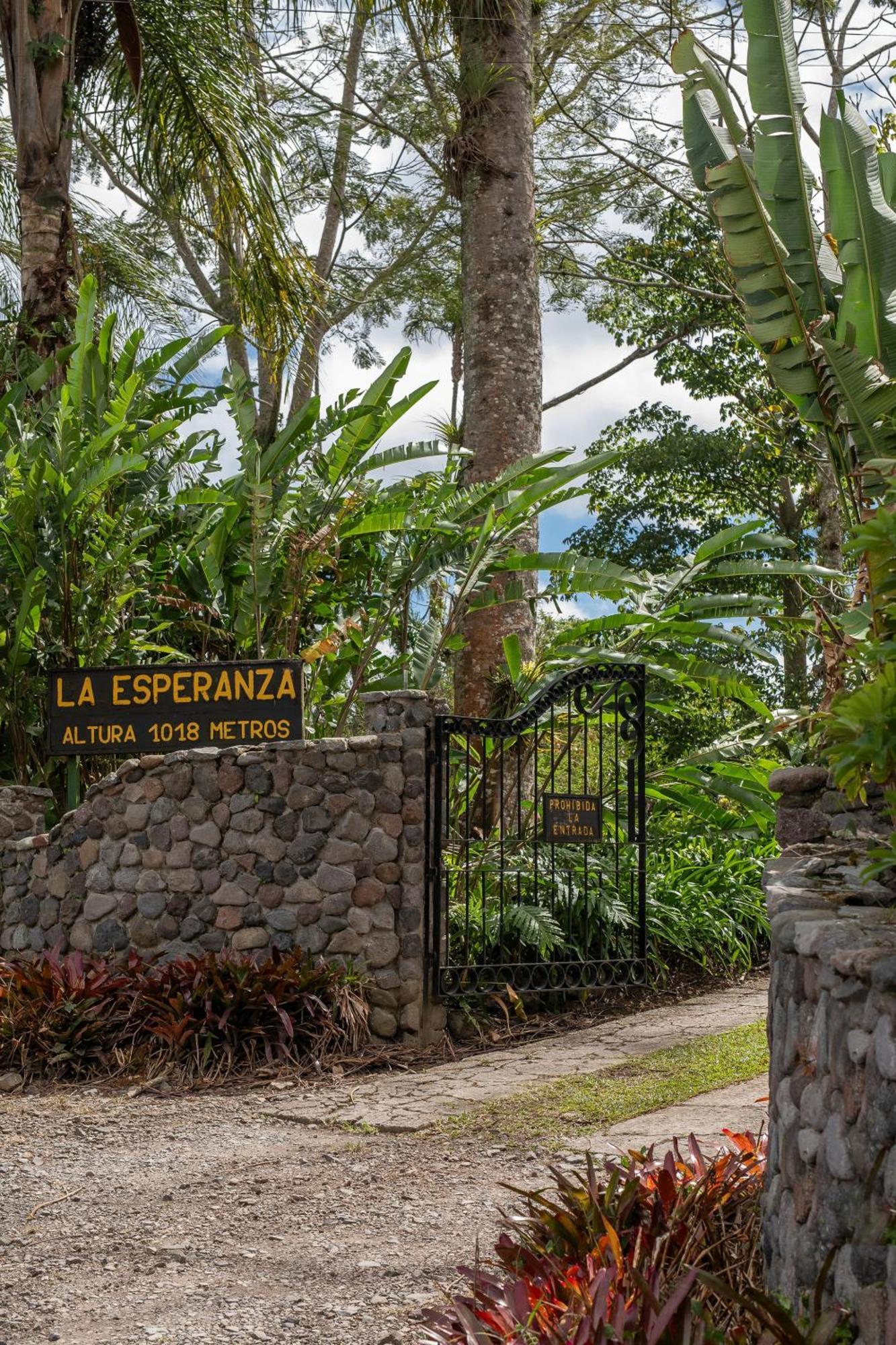 Aquiares Coffee Farm Casa Hacienda La Esperanza Bed & Breakfast Turrialba Luaran gambar