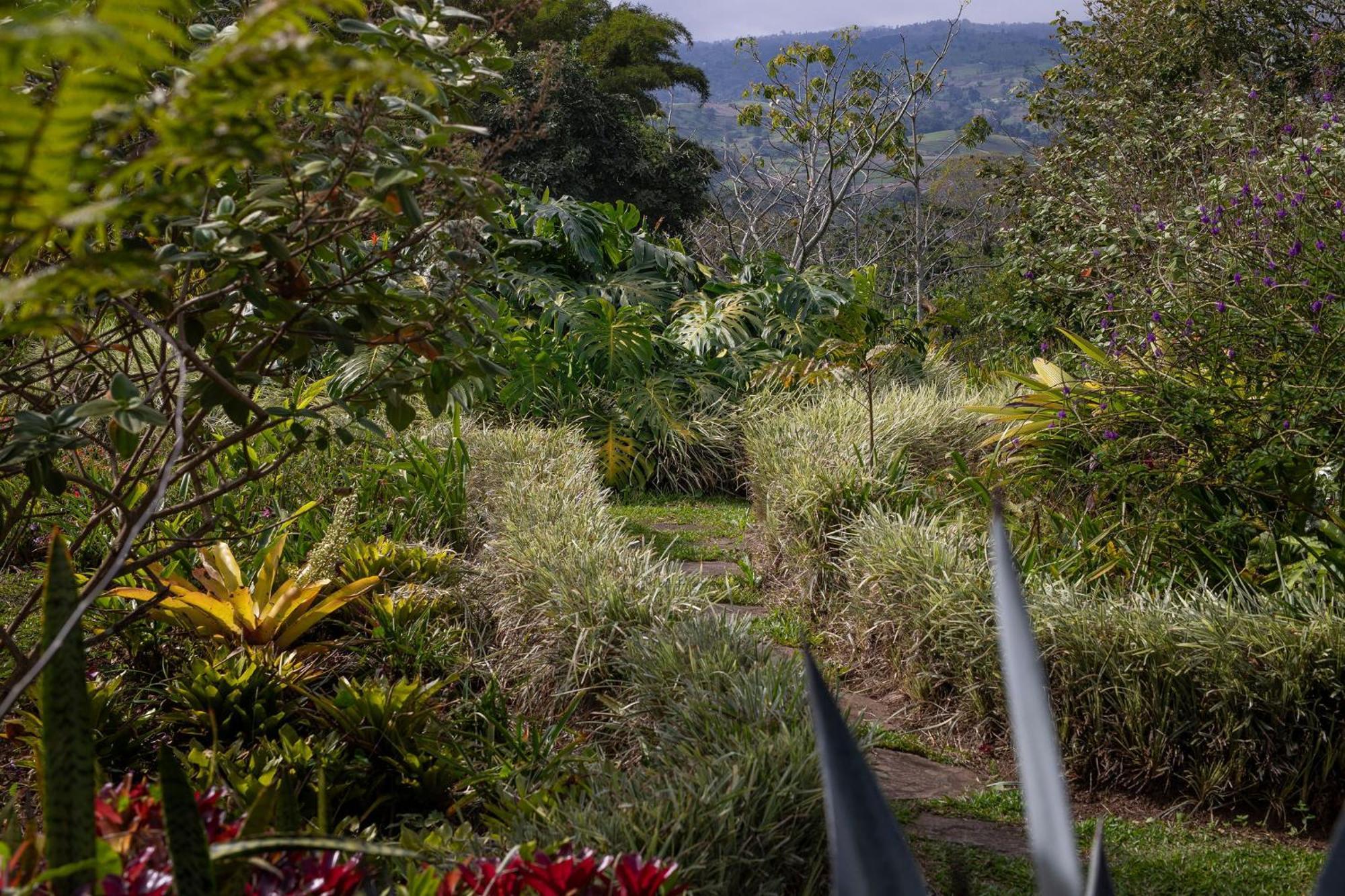 Aquiares Coffee Farm Casa Hacienda La Esperanza Bed & Breakfast Turrialba Luaran gambar