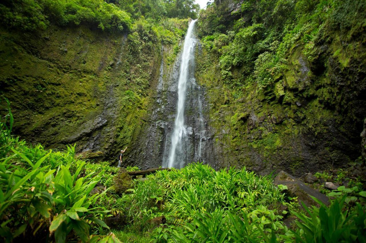 Aquiares Coffee Farm Casa Hacienda La Esperanza Bed & Breakfast Turrialba Luaran gambar