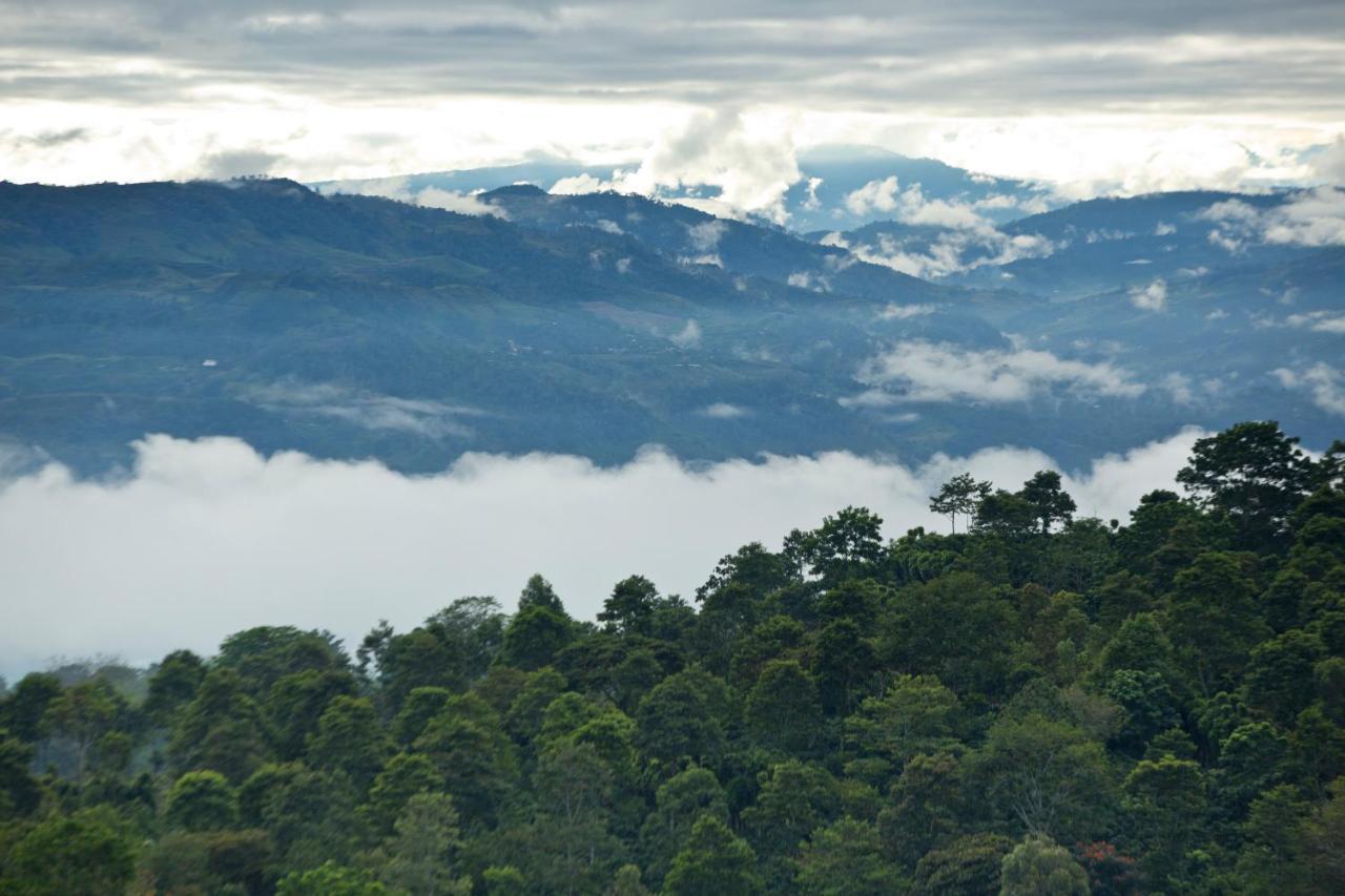 Aquiares Coffee Farm Casa Hacienda La Esperanza Bed & Breakfast Turrialba Luaran gambar
